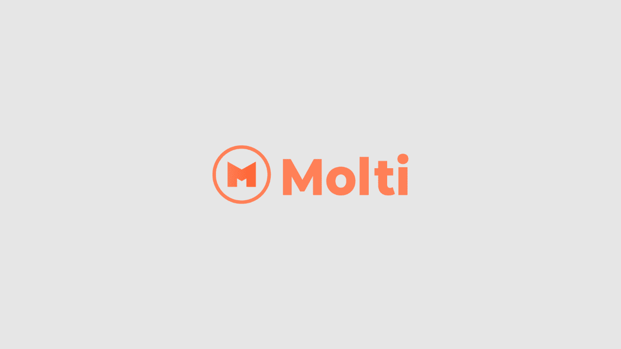 Molti - Blog